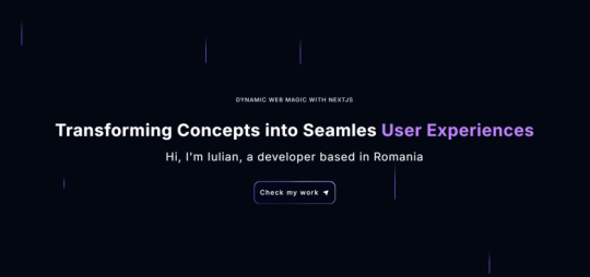 Servicii Web Development
