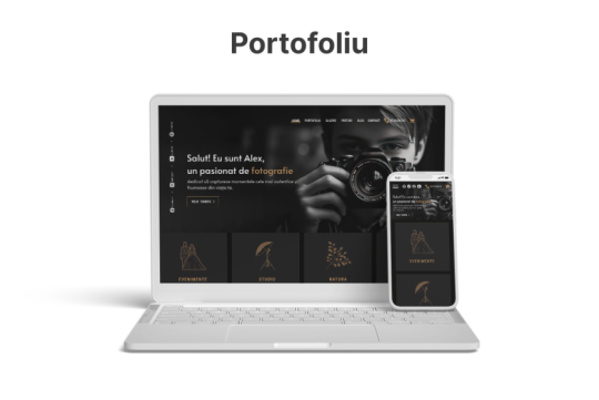 Creez web site-uri de prezentare si Magazine Online in WordPress - 4