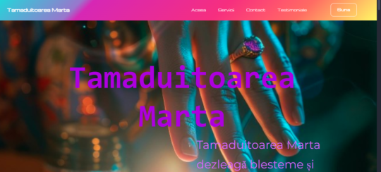 Ofer servici de web developing